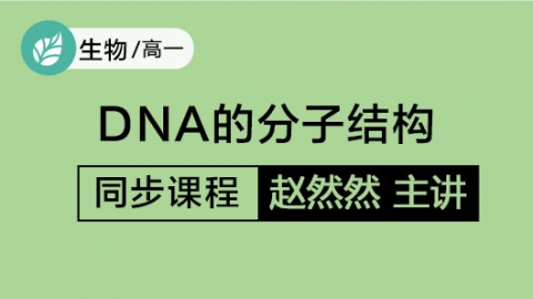 DNA的分子结构